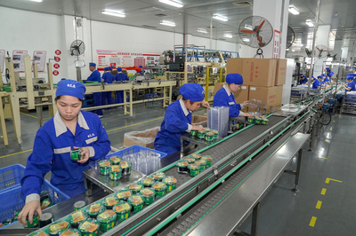 構建高效門戶，賦能企業發展——中恒集團門戶網站建設方案